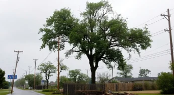 Severe Thunderstorms Devastate Central Texas